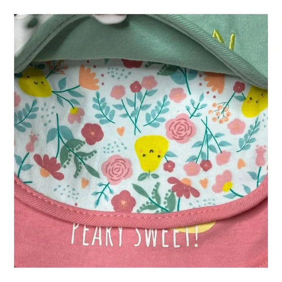 Duck Duck Goose Baby Bib and Socks 5 pc Set Fruit Pastels 0-9 Months NWT - Picture 3 of 10